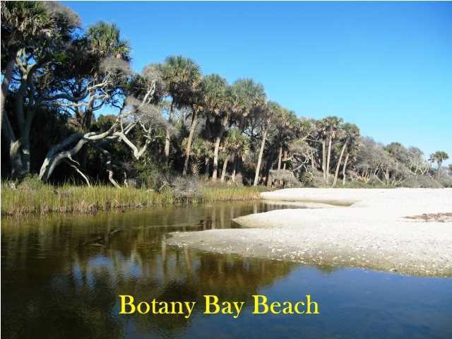 0 Palmetto Road, Unit A4B Edisto Island, SC 29438 - Photo 11 of 13 Additional Photo