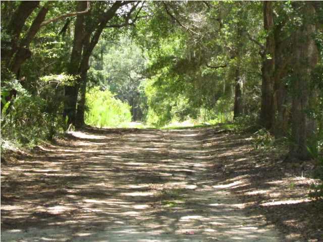 0 Palmetto Road, Unit A4B Edisto Island, SC 29438 - Photo 5 of 13 Additional Photo