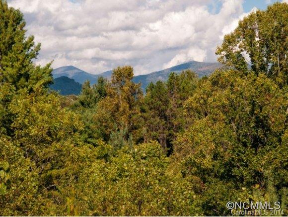 402 Golden Breeze Road Swannanoa, NC 28778 - Photo 12 of 12 Gallery Image 12