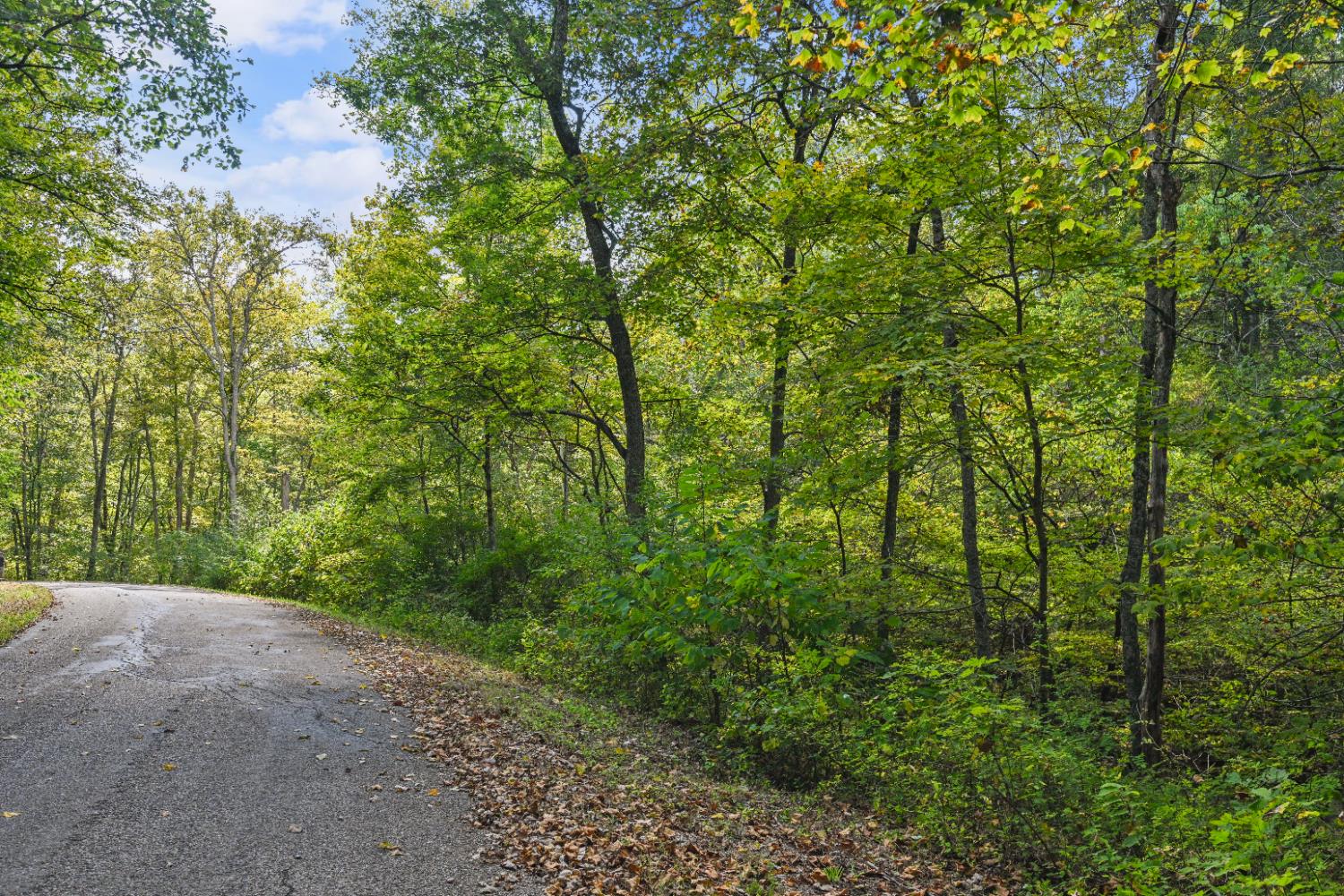 0 Turtle Creek Road Florence, IN 47020 - Photo 2 of 9