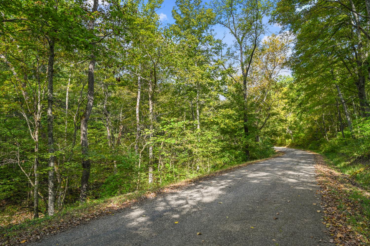 0 Turtle Creek Road Florence, IN 47020 - Photo 7 of 9