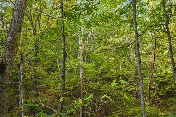 $169,000 | 0 Turtle Creek Road, Florence, IN 47020