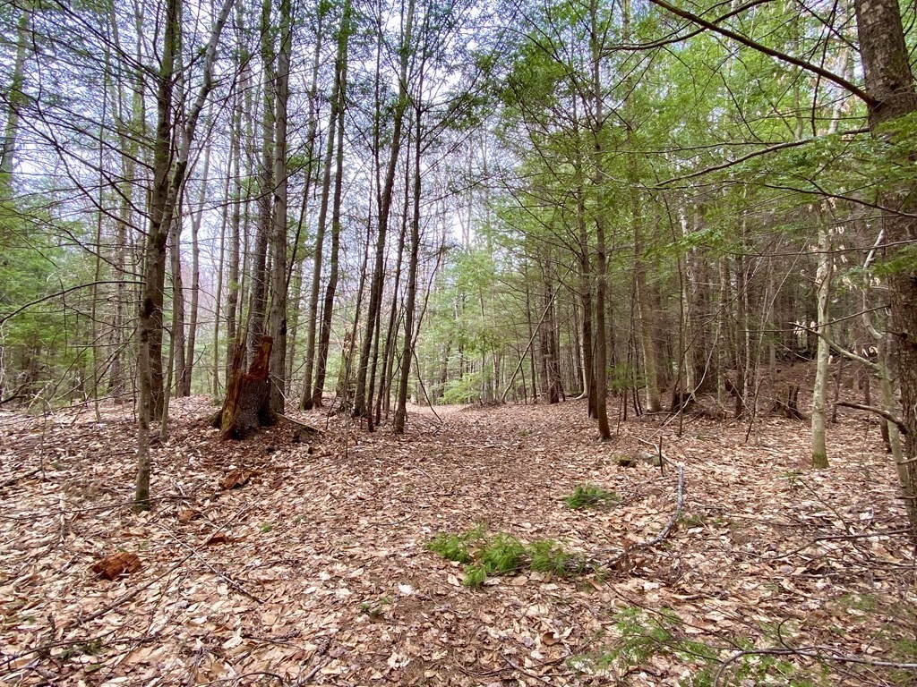 0 Hazelton Road Rowe, MA 01367 - Photo 10 of 12 Gallery Image 10