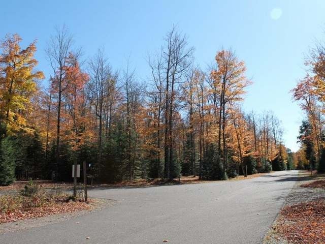 7750 Indian Shrs Road, Unit 217 Woodruff, WI 54568 - Photo 13 of 20 Gallery Image 13
