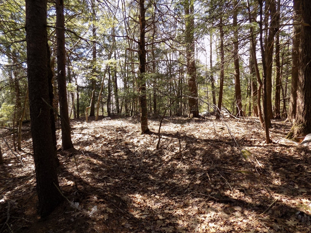 Lot 7 Skyline Ridge Road Becket, MA 01223 - Photo 10 of 14