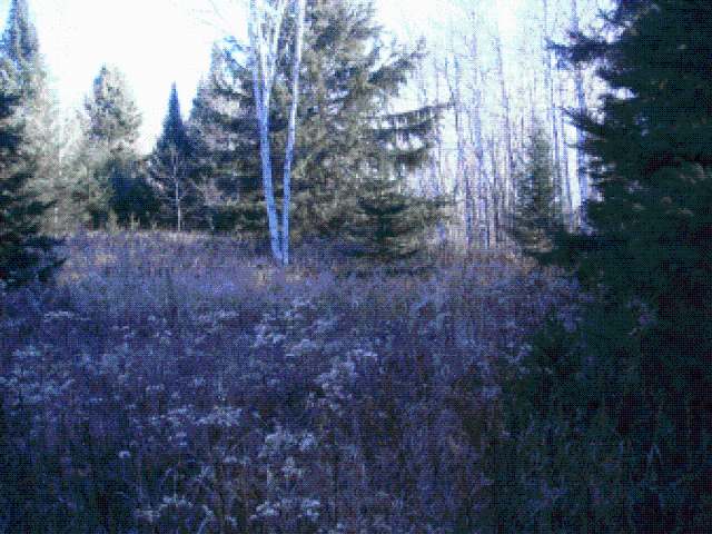 N10770 Tower Road Phillips, WI 54555 - Photo 2 of 14 Gallery Image 2