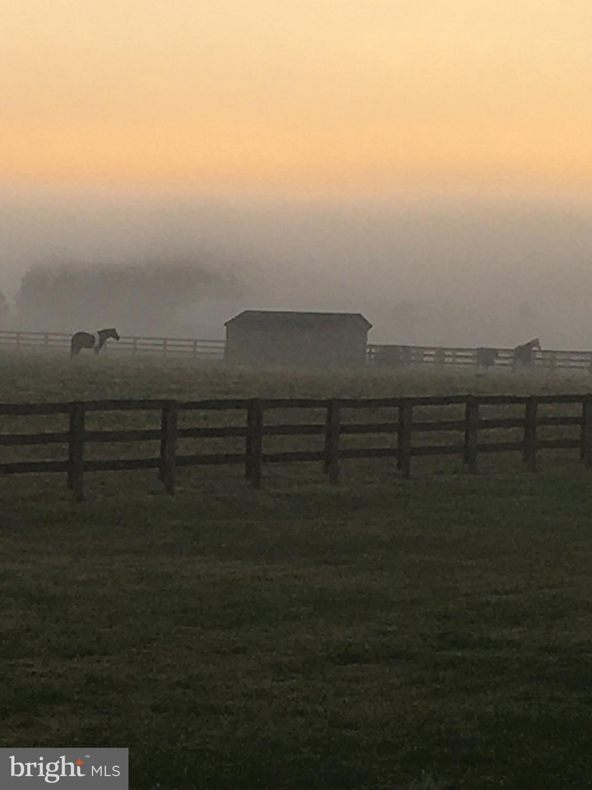 1543 Governor Bridge Road Davidsonville, MD 21035 - Photo 37 of 42 Misty view from the front yard...