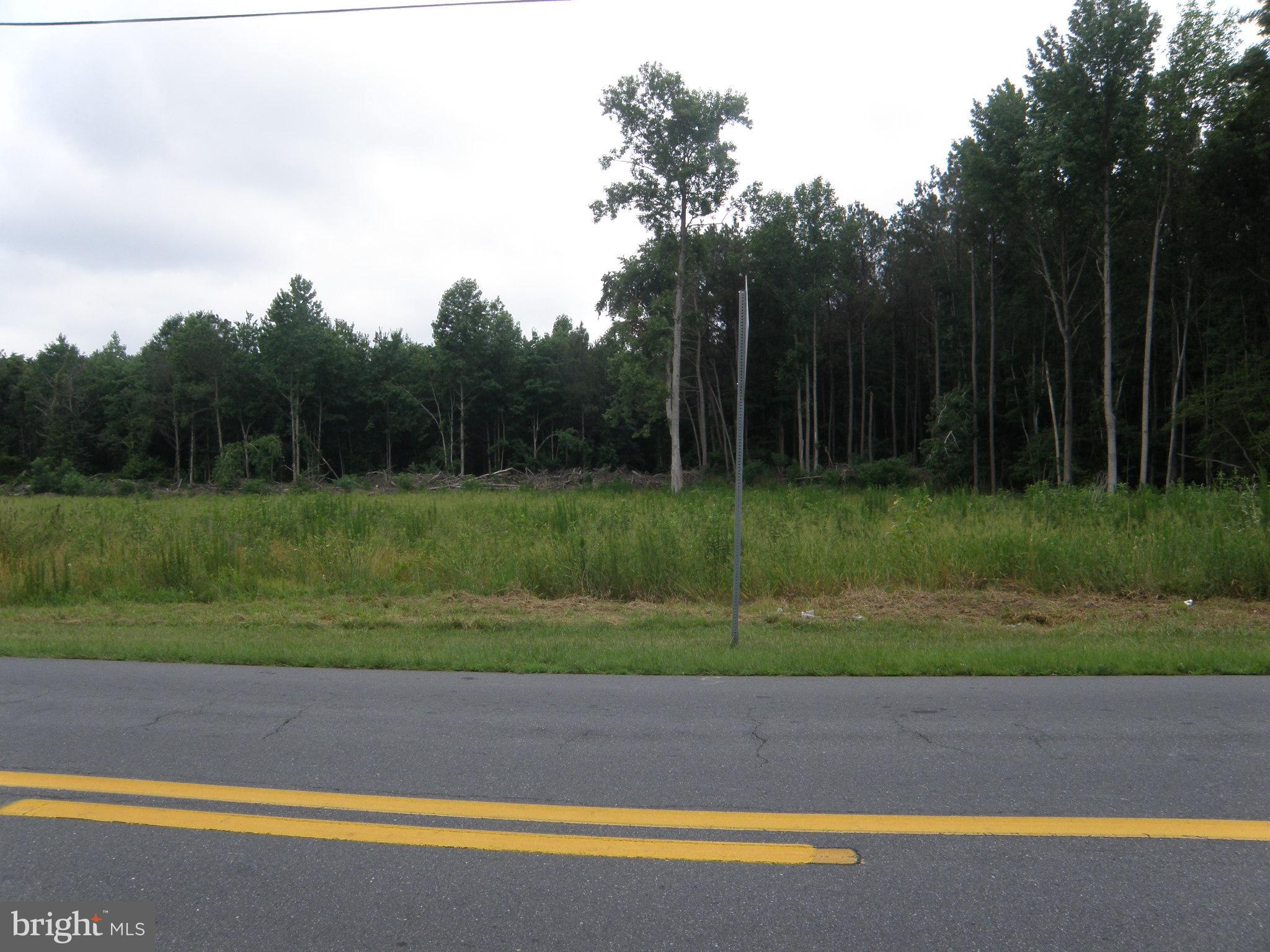 12540 North Union Church Road Ellendale, DE 19941 - Photo 3 of 3 Another view of front of lot.