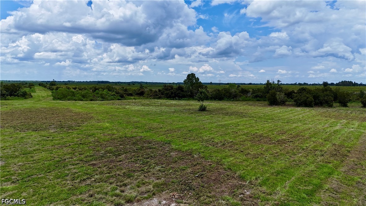 0 County Line Road East Bowling Green, FL 33834 - Photo 22 of 39 Gallery Image 22