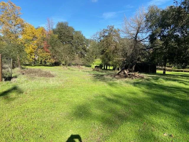 a view of swimming pool with lawn chairs and trees