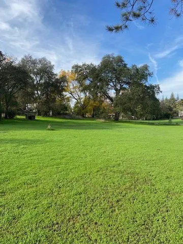 a view of a green field with lots of bushes