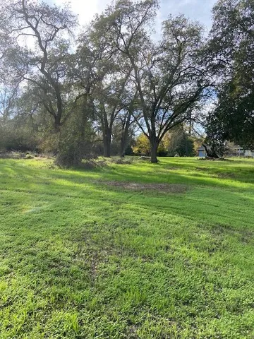 a big yard with lots of green space and trees