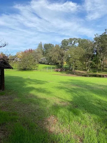 a view of a big yard with a large trees
