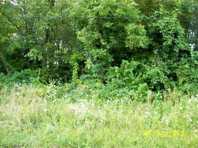 Miley Road North Lima, OH 44452 - Photo 1 of 1 Gallery Image 1