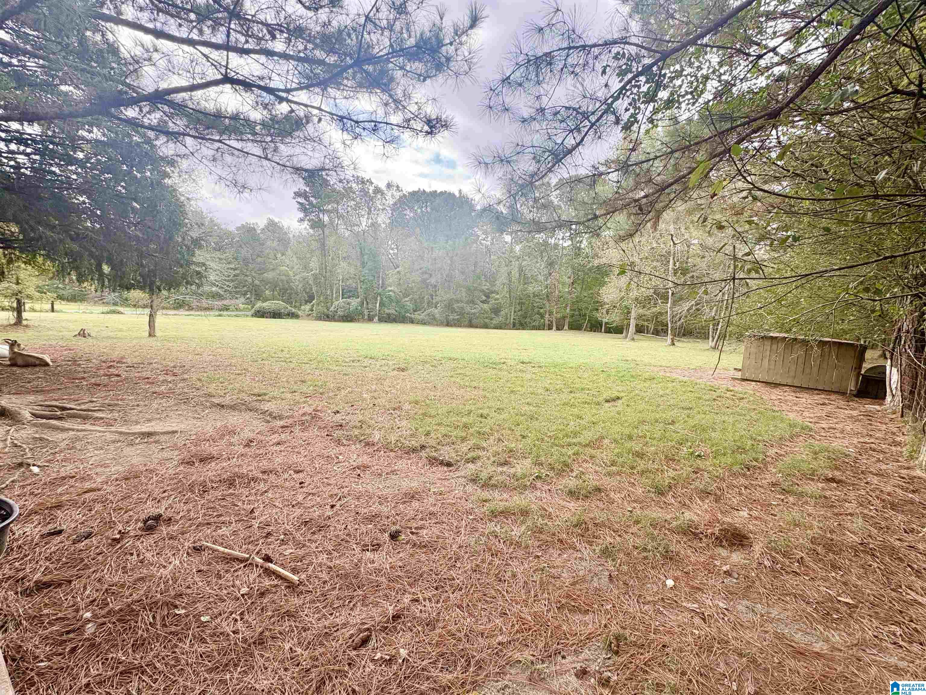 55 Honeycutt Road, Unit 55 Remlap, AL 35133 - Photo 14 of 21