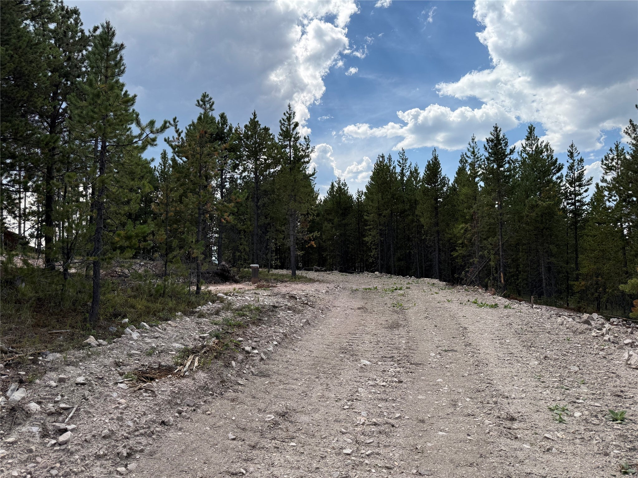 Tbd Trapper Ridge Philipsburg, MT 59858 - Photo 42 of 47 Gallery Image 42