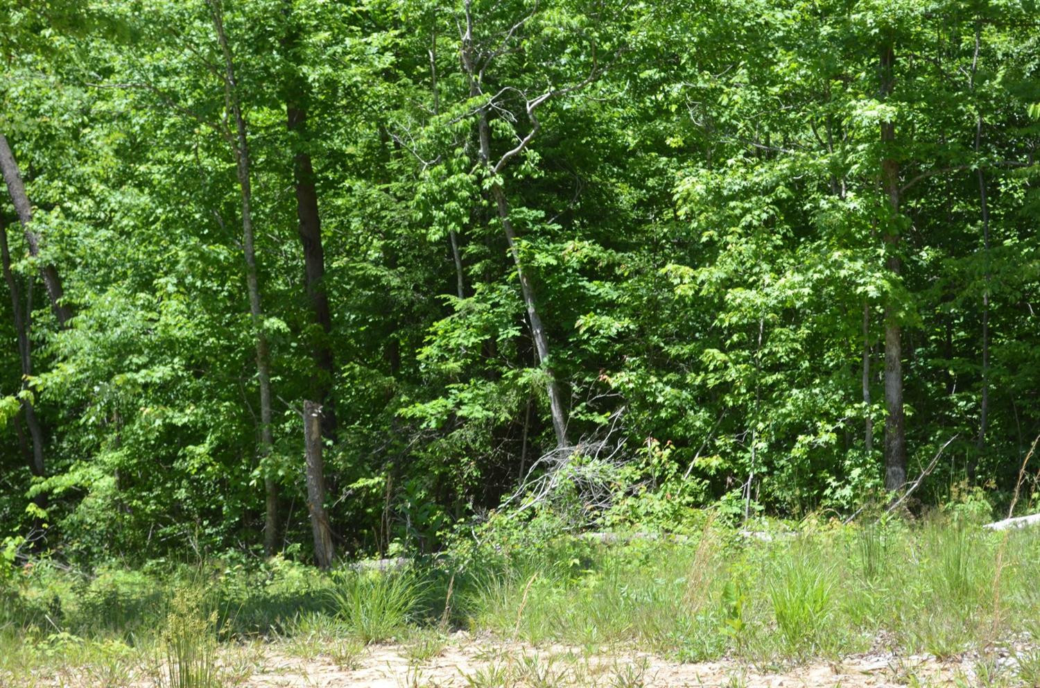 1877 Holly Grove Road Corbin, KY 40701 - Photo 35 of 35 Listing Photo