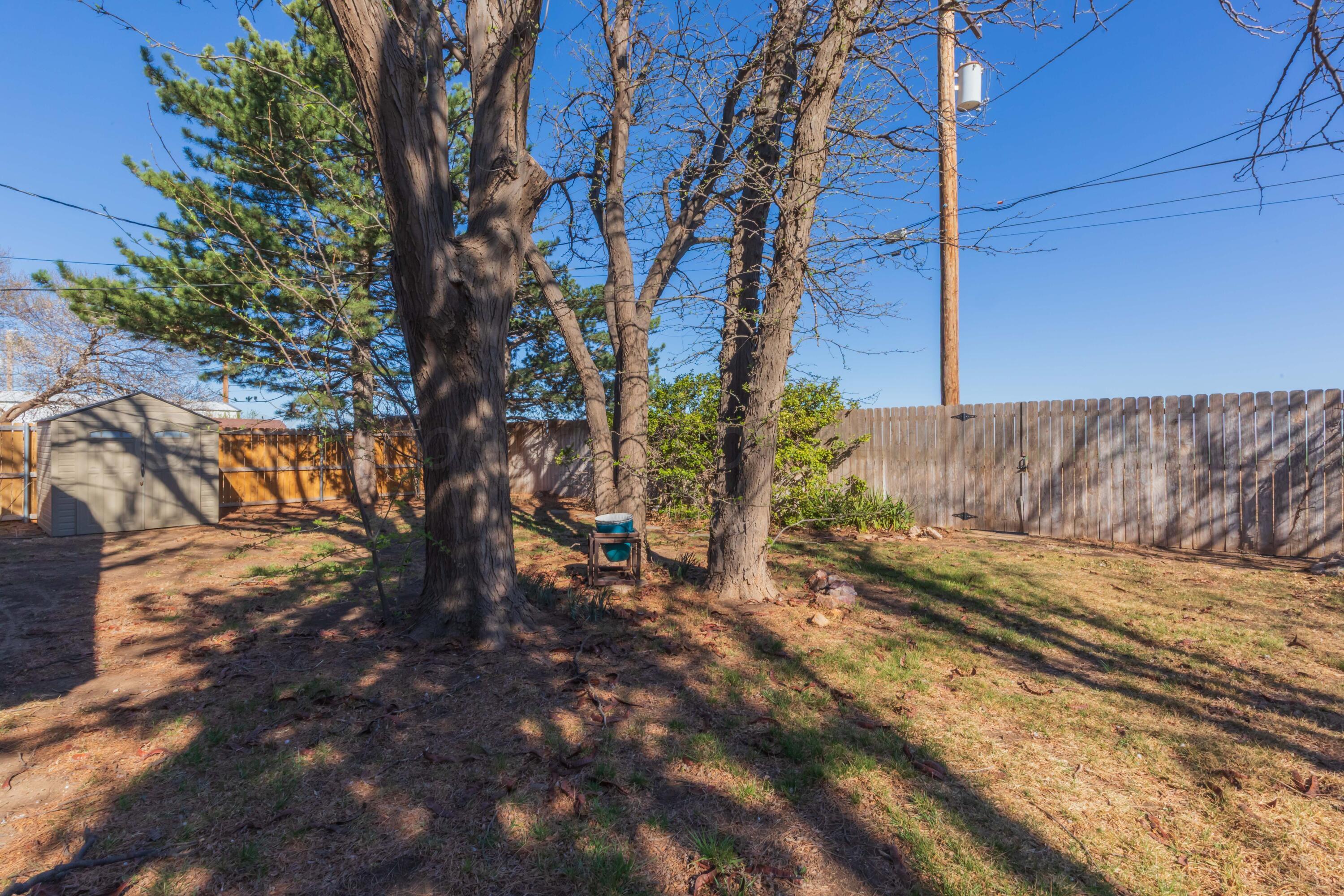1501 Bailey Avenue Dumas, TX 79029 - Photo 34 of 37 BACKYARD VIEW 3