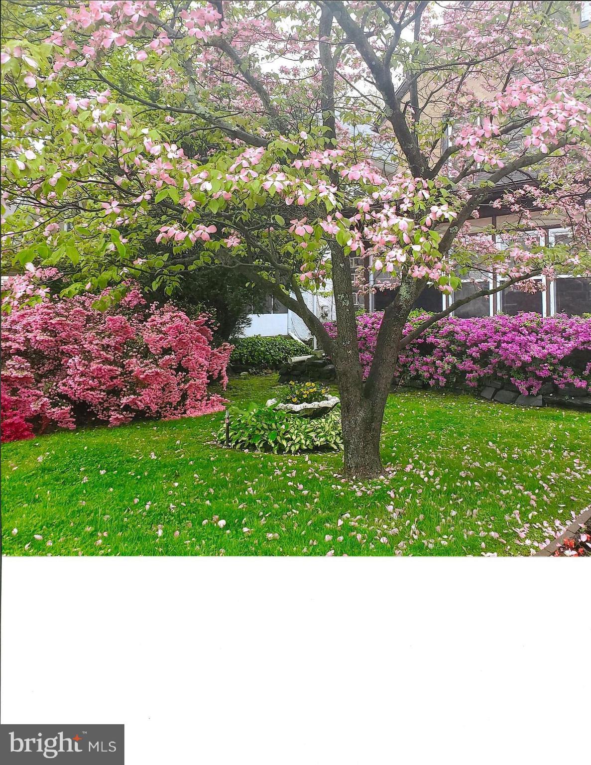 136 Shelbourne Road Havertown, PA 19083 - Photo 4 of 48 a black and white photo of a house