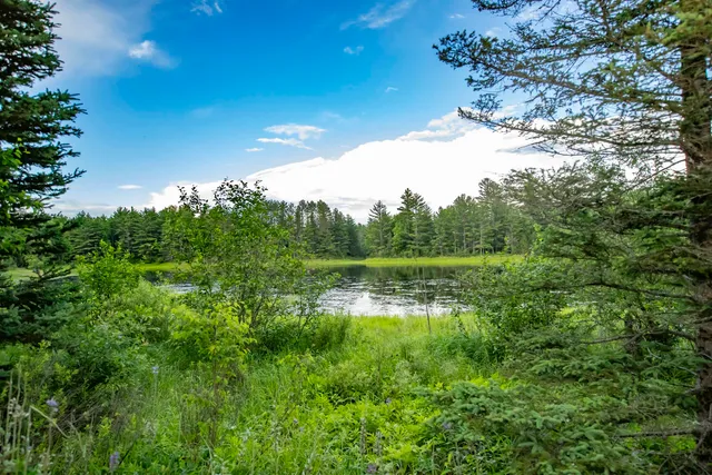 $525,000 | 163 Wirtanen Road, Crystal Falls, MI 49920