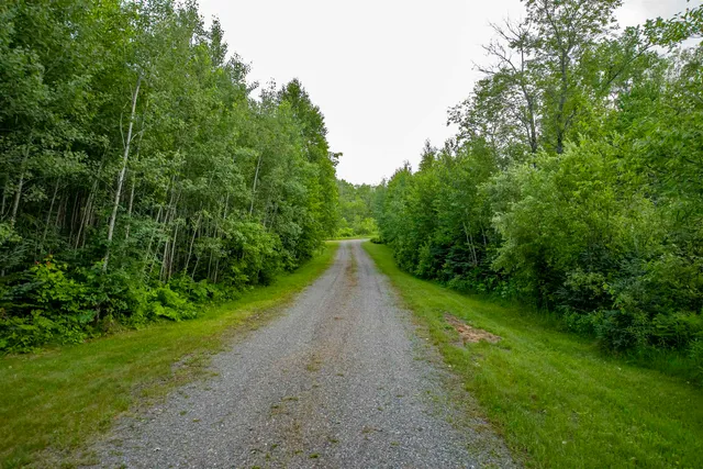 $525,000 | 163 Wirtanen Road, Crystal Falls, MI 49920