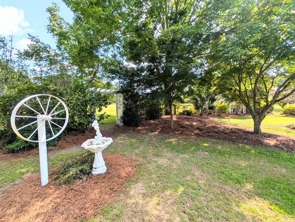 3117 Holland Road Newton, AL 36352 - Photo 49 of 78
