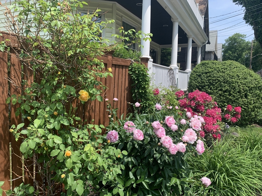 62 Everett Street, Unit 2 Arlington, MA 02474 - Photo 36 of 42