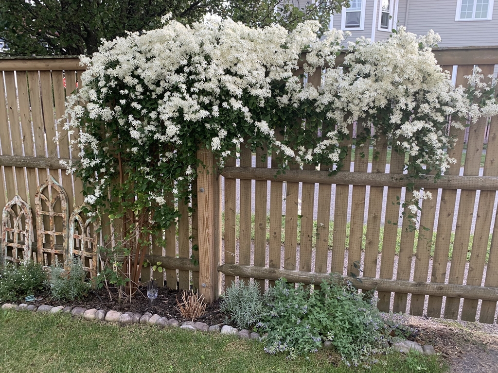 62 Everett Street, Unit 2 Arlington, MA 02474 - Photo 39 of 42