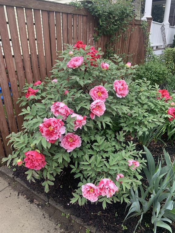 62 Everett Street, Unit 2 Arlington, MA 02474 - Photo 40 of 42