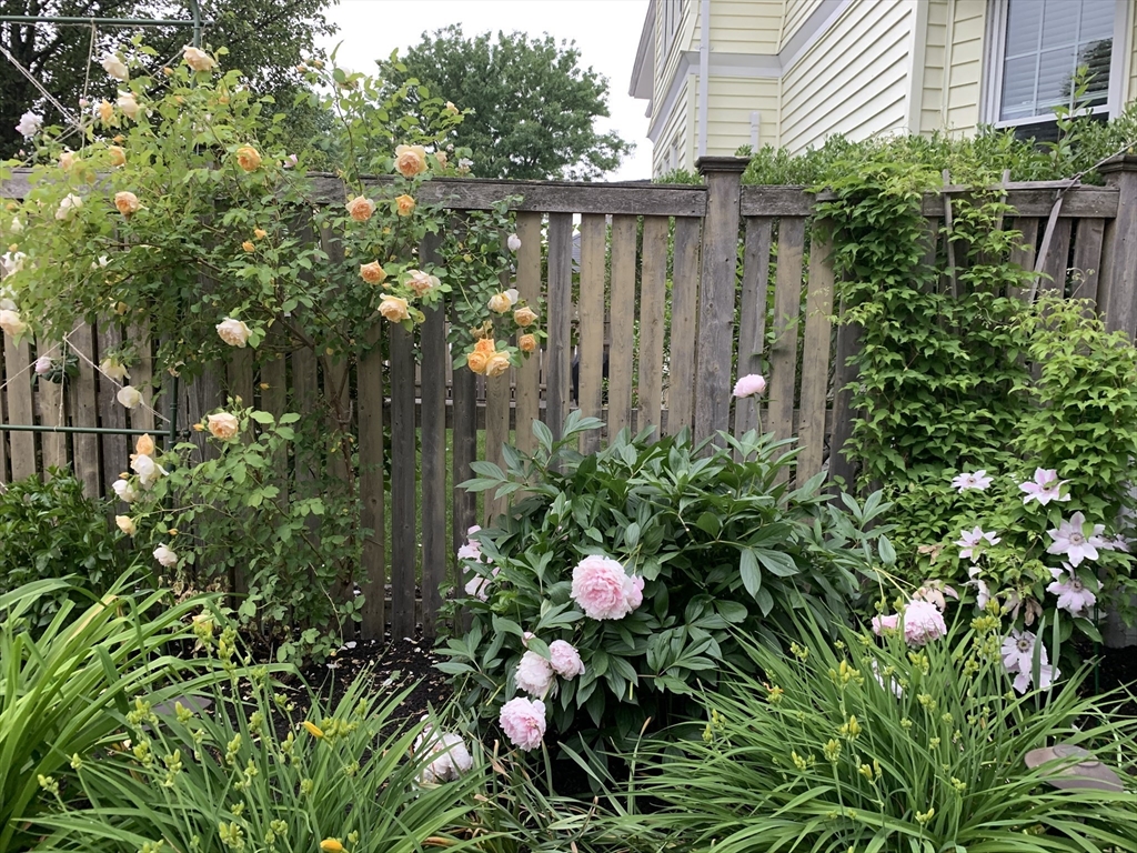 62 Everett Street, Unit 2 Arlington, MA 02474 - Photo 42 of 42