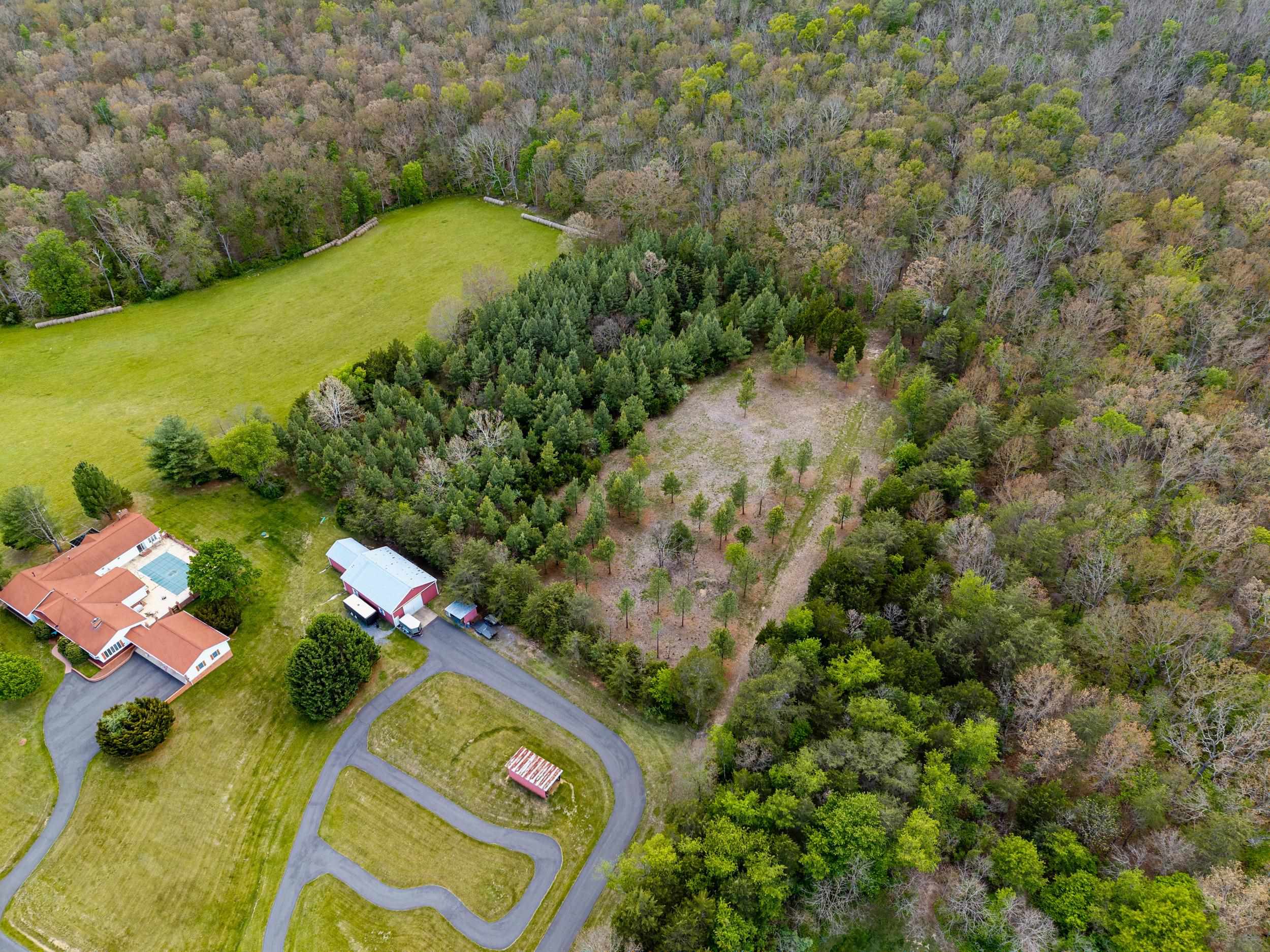 0 Boliver Road Fort Valley, VA 22652 - Photo 13 of 55 Gallery Image 13