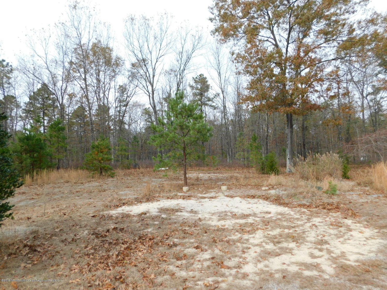 142 Pasadena Road Whiting, NJ 08759 - Photo 11 of 32 DSCN9968