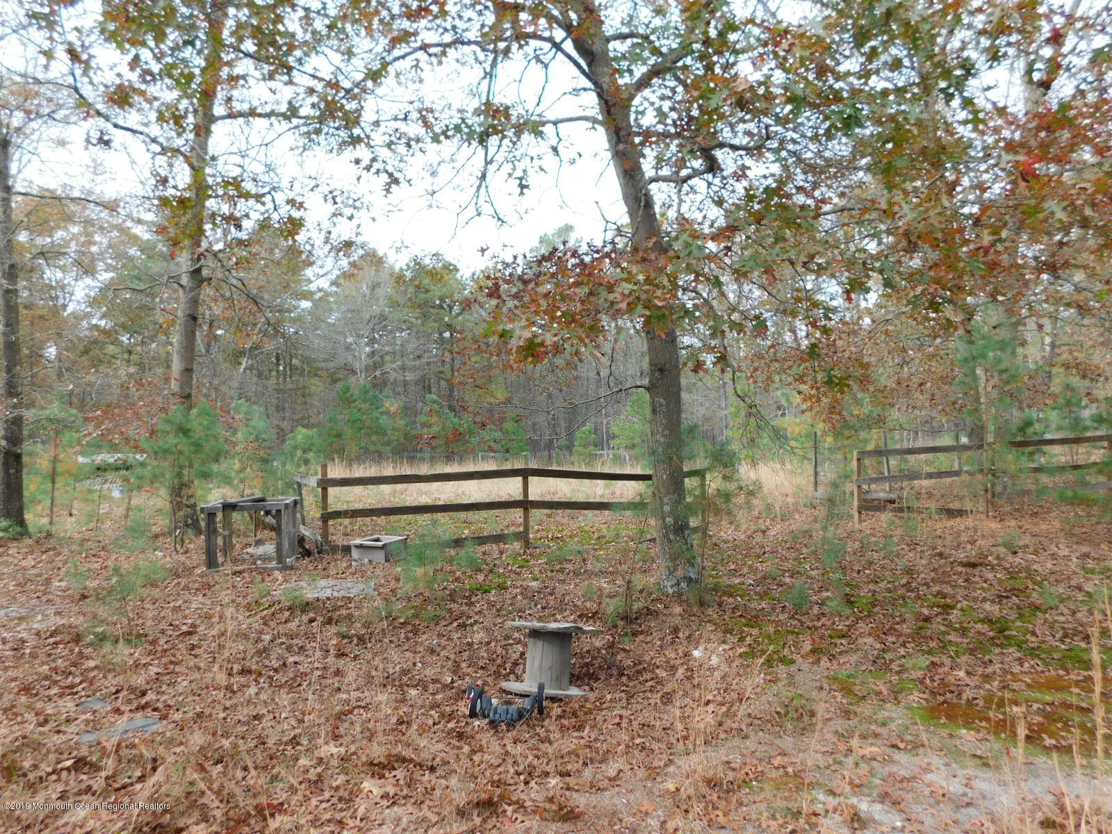 142 Pasadena Road Whiting, NJ 08759 - Photo 13 of 32 DSCN9970