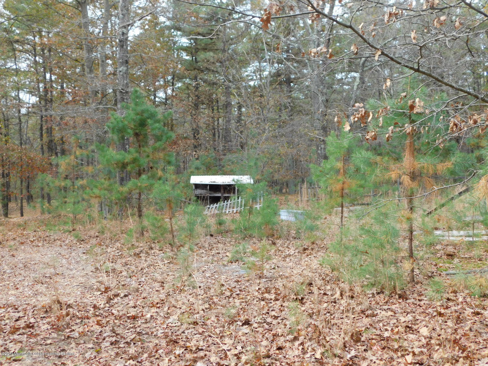 142 Pasadena Road Whiting, NJ 08759 - Photo 14 of 32 DSCN9971