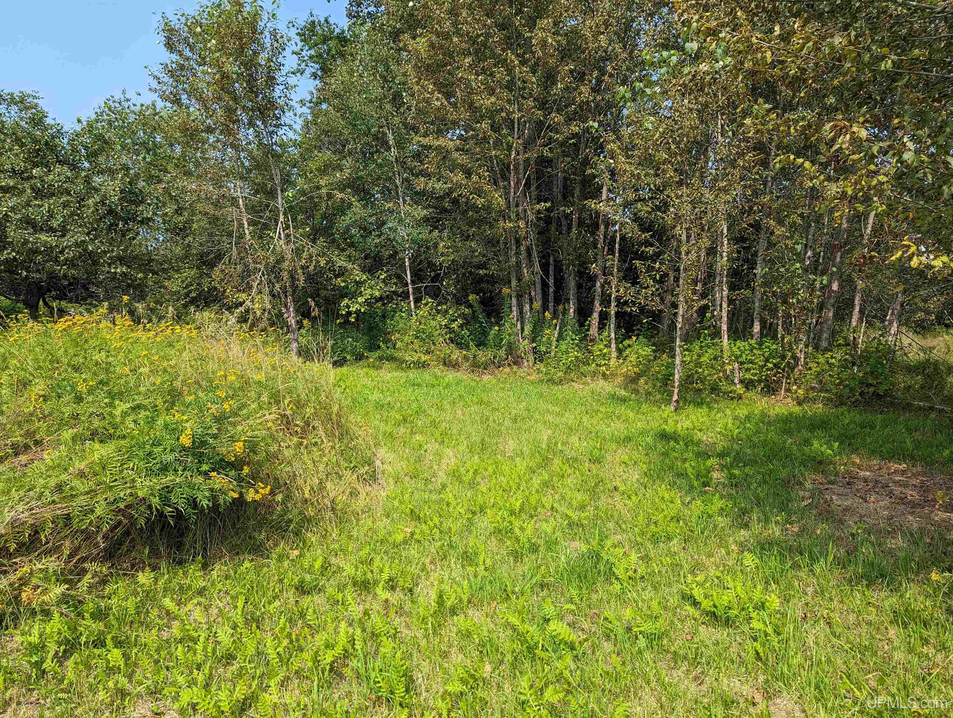 Tbd Tbd Co Road Ishpeming, MI 49849 - Photo 9 of 10