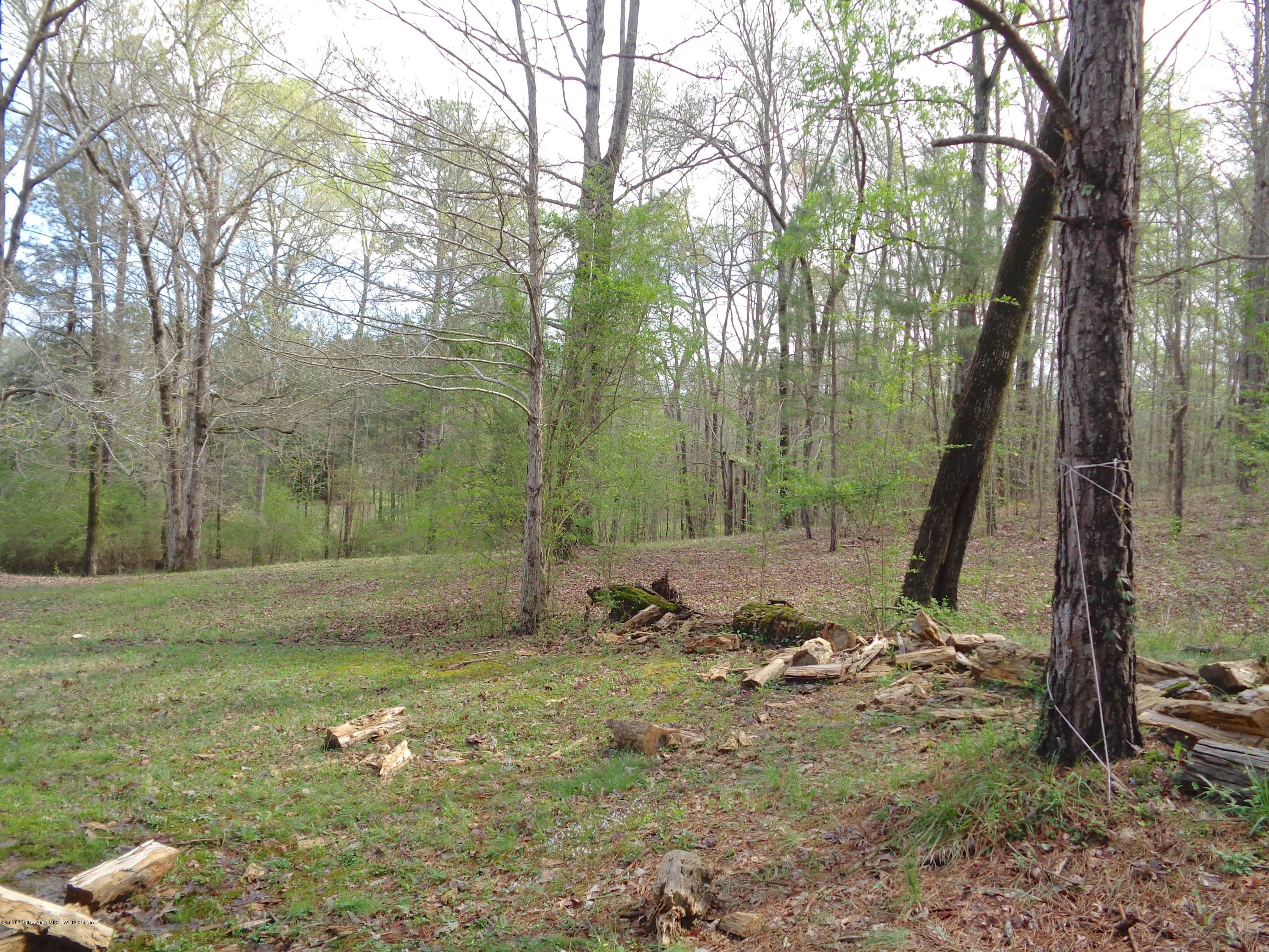 435 Williams Jasper, AL 35503 - Photo 26 of 31 Gallery Image 26