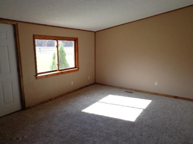 23014 Tamarack Road Newaygo, MI 49337 - Photo 3 of 8 tammarack 020