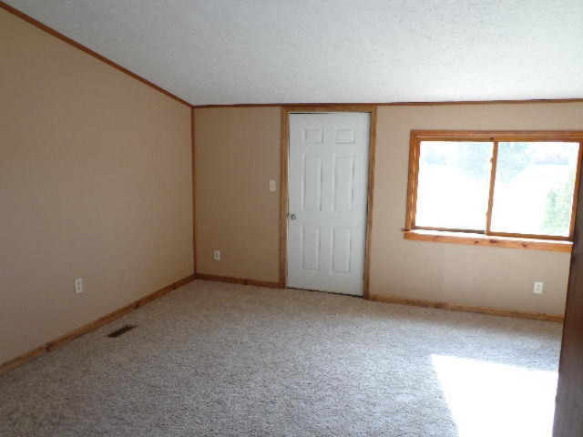 23014 Tamarack Road Newaygo, MI 49337 - Photo 6 of 8 tammarack 037