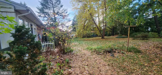 a big yard with lots of green space and plants