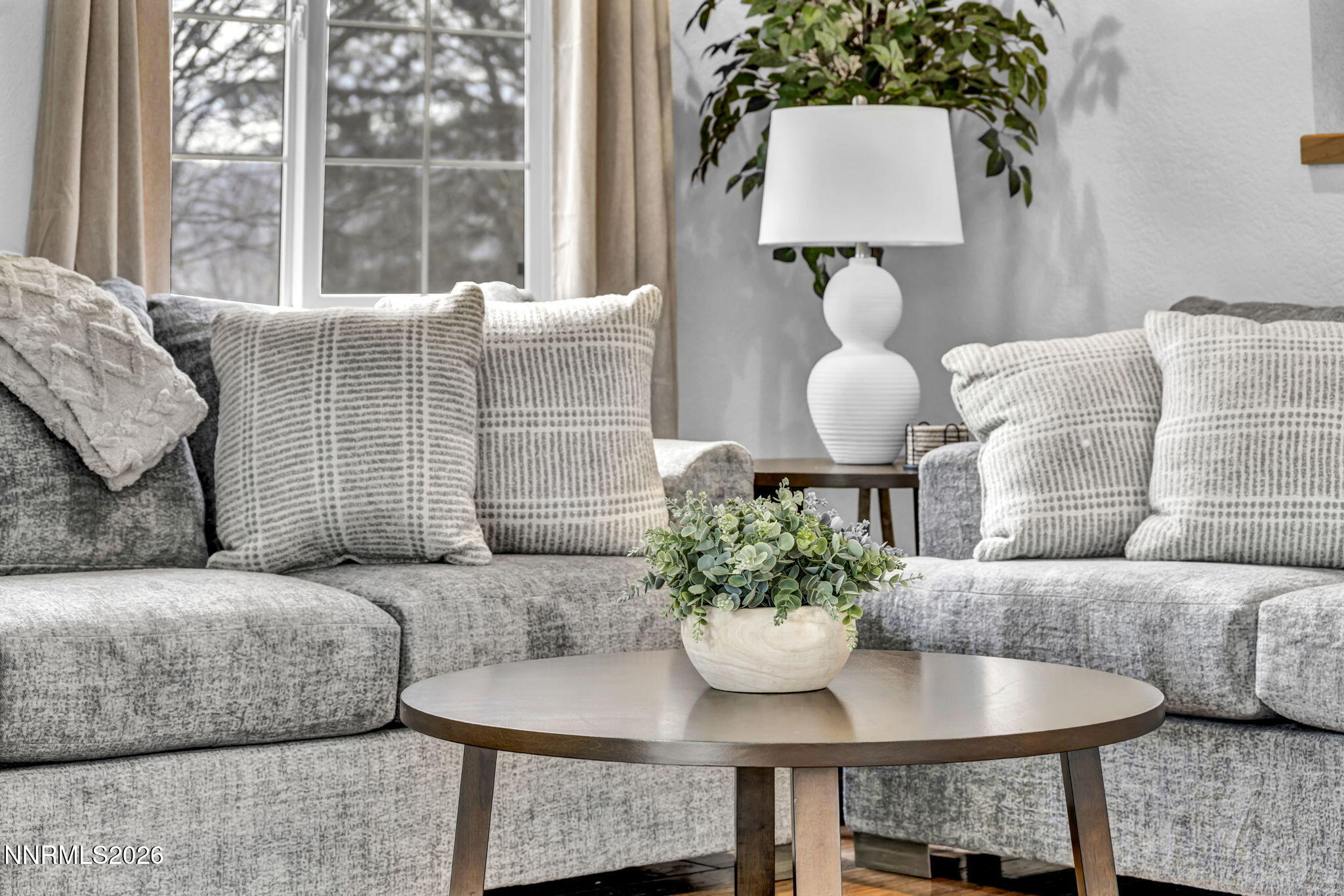 11680 Campo Rico Lane Sparks, NV 89441 - Photo 19 of 61 a living room with furniture and a potted plant