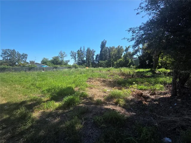 a view of a lush green space