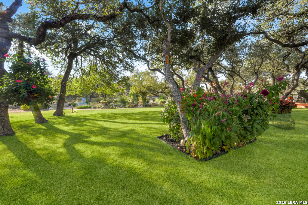 1700 Frontier Spring Branch, TX 78070 - Photo 11 of 74 a view of a golf course with a trees