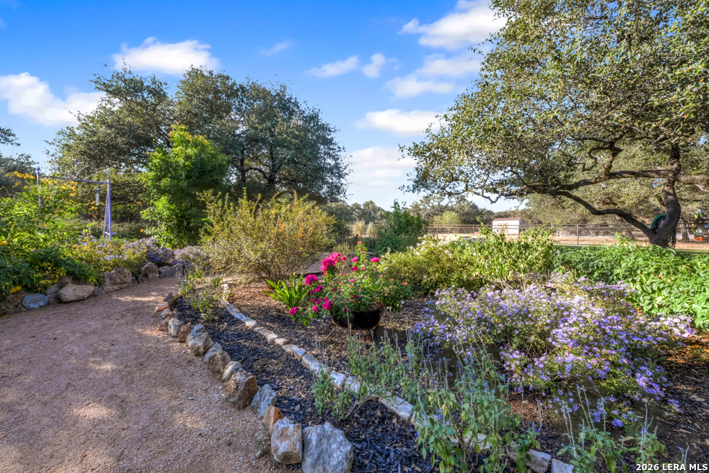 1700 Frontier Spring Branch, TX 78070 - Photo 13 of 74