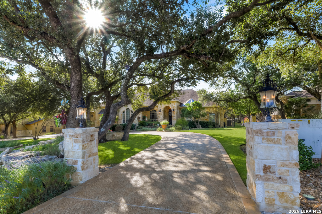 1700 Frontier Spring Branch, TX 78070 - Photo 3 of 80