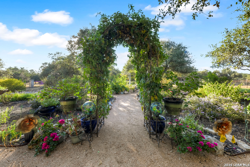 1700 Frontier Spring Branch, TX 78070 - Photo 51 of 80