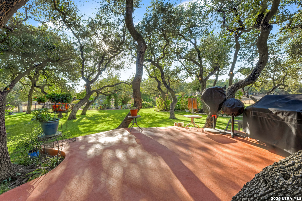 1700 Frontier Spring Branch, TX 78070 - Photo 53 of 74 a view of a yard with plants and trees