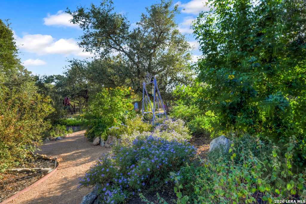 1700 Frontier Spring Branch, TX 78070 - Photo 56 of 74 a backyard of a house with lots of green space