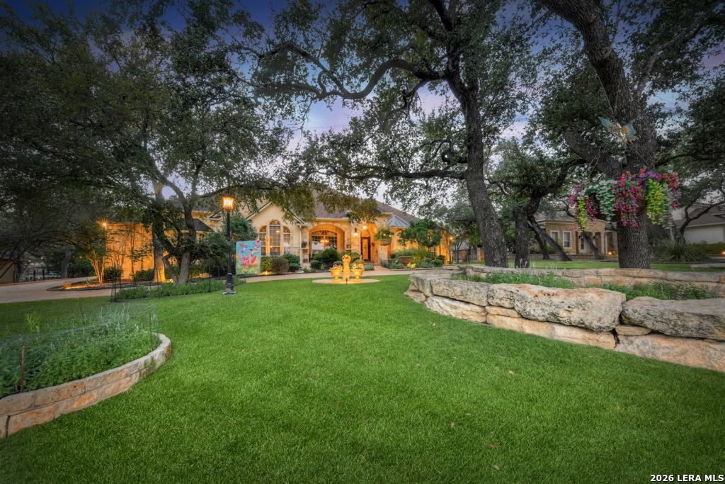 1700 Frontier Spring Branch, TX 78070 - Photo 58 of 74 a view of a park with large trees
