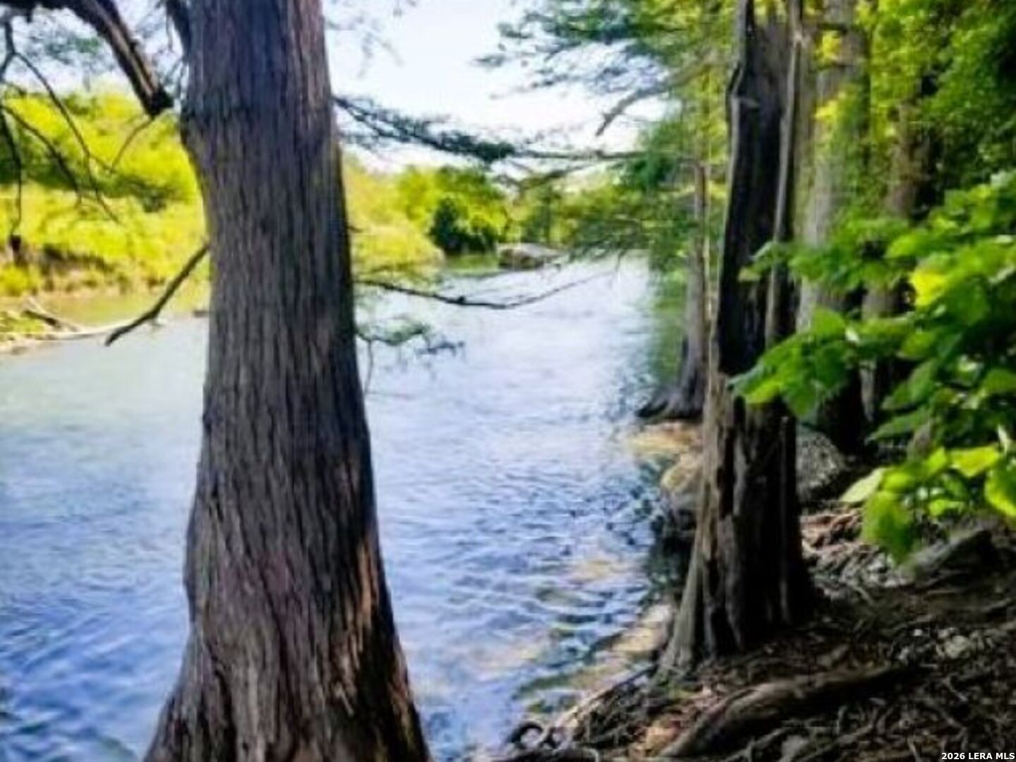 1700 Frontier Spring Branch, TX 78070 - Photo 68 of 80