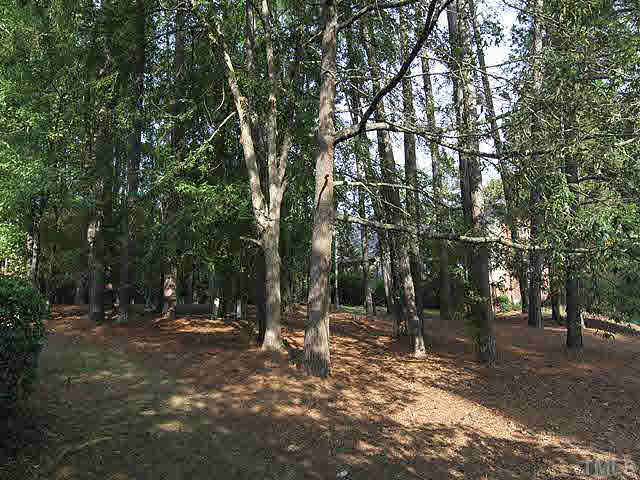 7900 Footman Way Raleigh, NC 27615 - Photo 23 of 25 Relax off your deck or off your screened porch and enjoy the woods, just off your property.